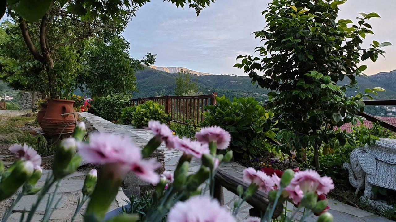 Alagonia Country Homes Exterior foto