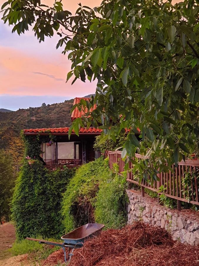 Alagonia Country Homes Exterior foto